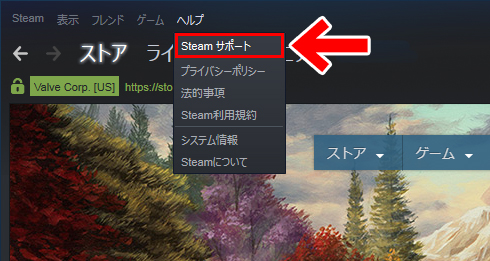 Steamサポートをクリック