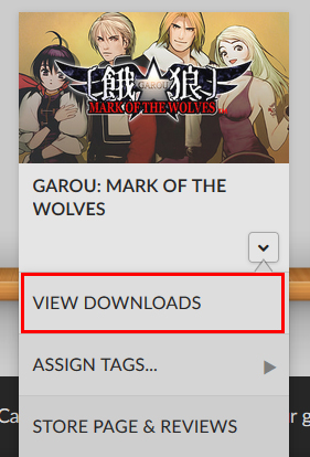 「VIEW DOWNLOADS」を選択